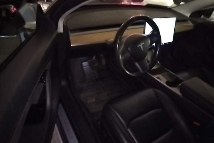 Used Tesla Model 3 2019 Long-Range Rear-Wheel-Drive Version Driver Seat