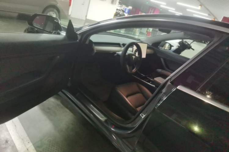 Used Tesla Model 3 2019 Standard Range Rear-Drive Upgraded Version Driver Seat