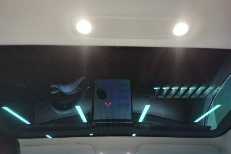 Used Tesla Model 3 2019 Standard Range Rear-Drive Upgraded Version Headliner