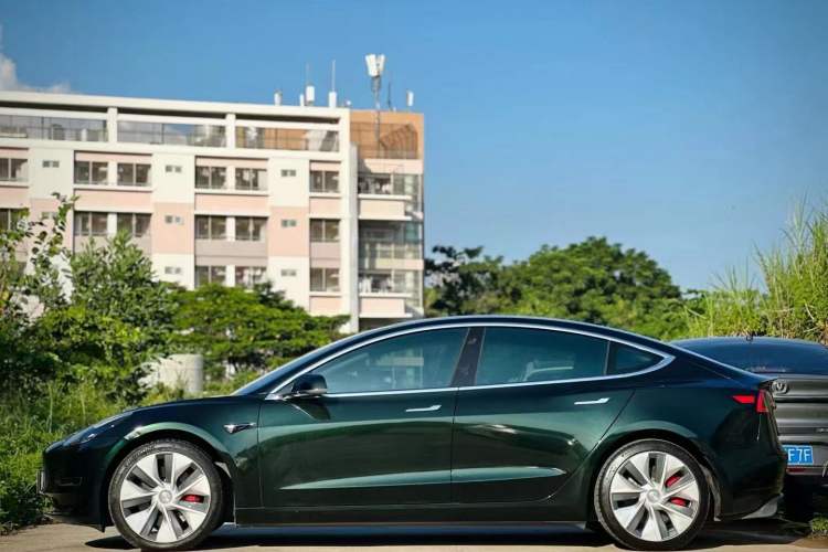 Used Tesla Model 3 2019 Performance High-Performance All-Wheel-Drive Version Left Rear Seat