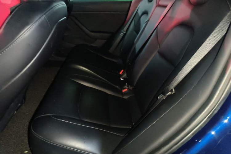 Used Tesla Model 3 2019 Long-Range Rear-Wheel-Drive Version Left Rear Seat