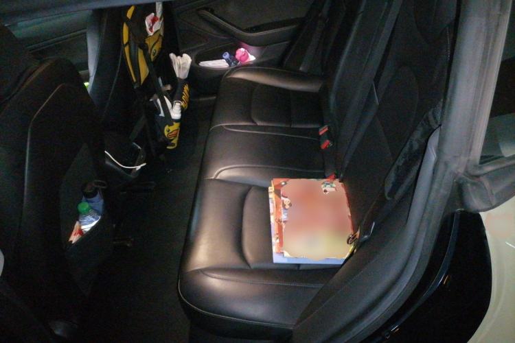 Used Tesla Model 3 2019 Long-Range All-Wheel-Drive Version Left Rear Seat