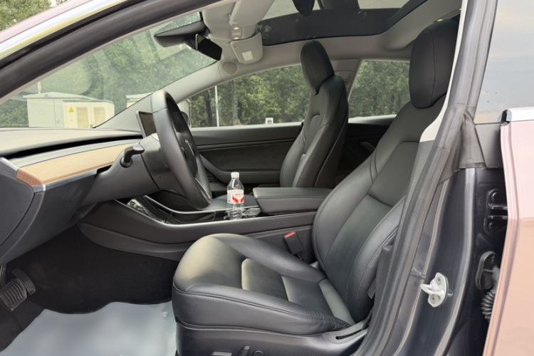Used Tesla Model 3 2019 Long-Range All-Wheel-Drive Version Left Front Seat