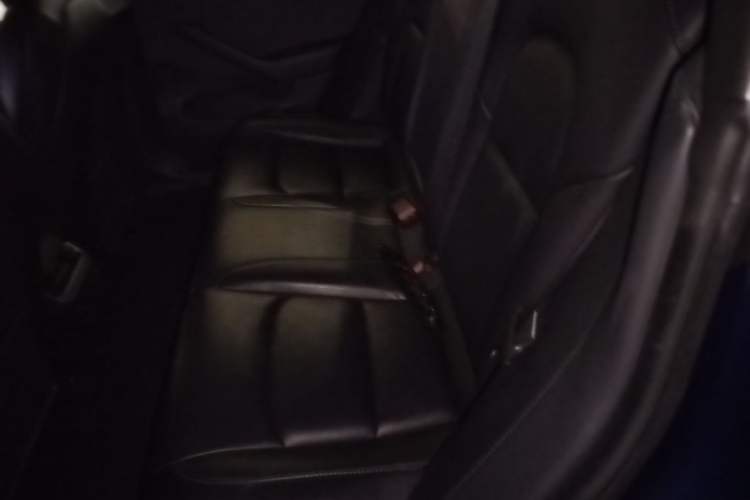 Used Tesla Model 3 2019 Long-Range Rear-Wheel-Drive Version Left Rear Seat