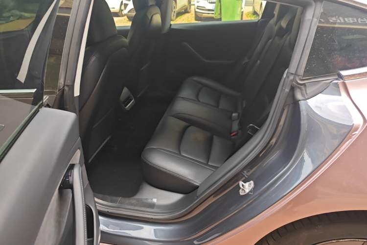 Used Tesla Model 3 2019 Long-Range All-Wheel-Drive Version Left Rear Seat