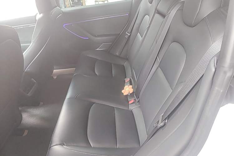 Used Tesla Model 3 2019 Standard Range Rear-Drive Upgraded Version Left Rear Seat