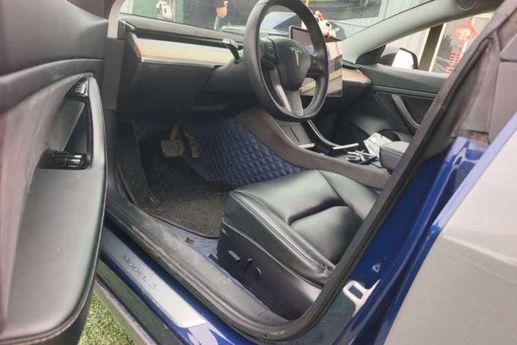 Used Tesla Model 3 2019 Standard Range Rear-Drive Upgraded Version Driver Seat