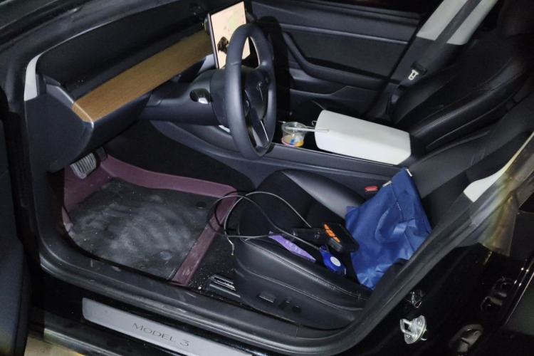 Used Tesla Model 3 2019 Standard Range Rear-Drive Upgraded Version Driver Seat