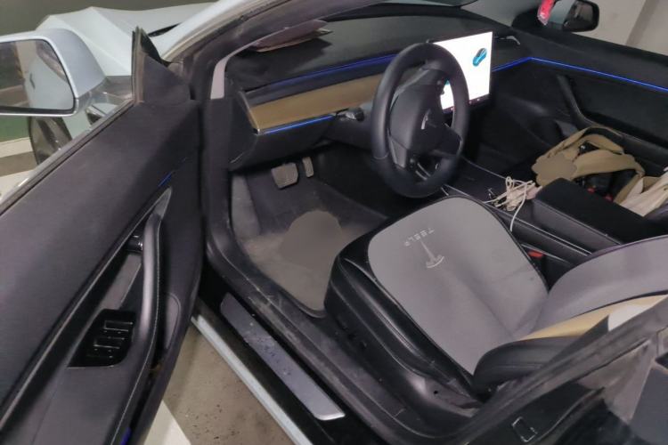 Used Tesla Model 3 2019 Standard Range Rear-Drive Upgraded Version Driver Seat