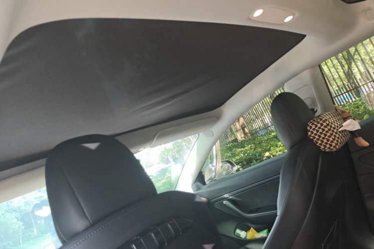 Used Tesla Model 3 2019 Long-Range All-Wheel-Drive Version Headliner