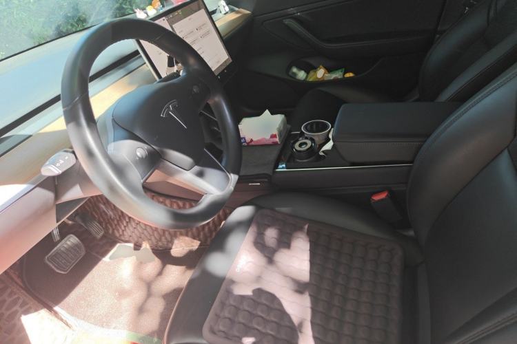 Used Tesla Model 3 2019 Long-Range All-Wheel-Drive Version Left Front Seat