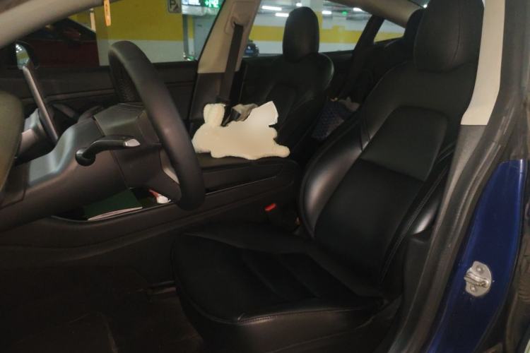 Used Tesla Model 3 2019 Standard Range Rear-Drive Upgraded Version Left Front Seat