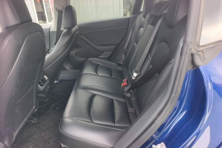 Used Tesla Model 3 2019 Standard Range Rear-Drive Upgraded Version Left Rear Seat