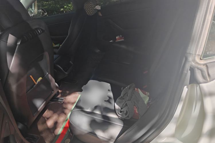 Used Tesla Model 3 2019 Long-Range All-Wheel-Drive Version Left Rear Seat