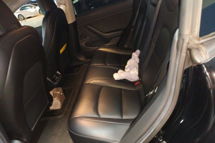 Used Tesla Model 3 2019 Long-Range Rear-Wheel-Drive Version Left Rear Seat