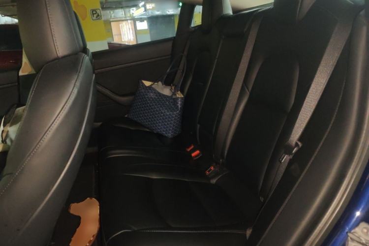 Used Tesla Model 3 2019 Standard Range Rear-Drive Upgraded Version Left Rear Seat