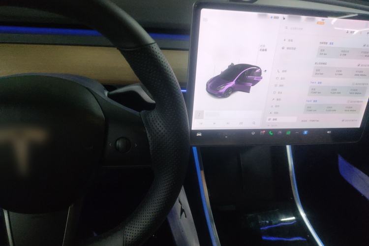 Used Tesla Model 3 2019 Standard Range Rear-Wheel Drive Upgraded Version (60 kWh) Center Console