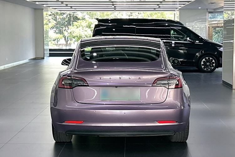 Used Tesla Model 3 2019 Long-Range Rear-Wheel-Drive Version Exterior 5