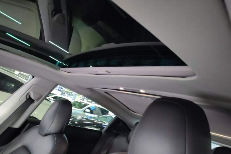 Used Tesla Model 3 2019 Long-Range All-Wheel-Drive Version Headliner