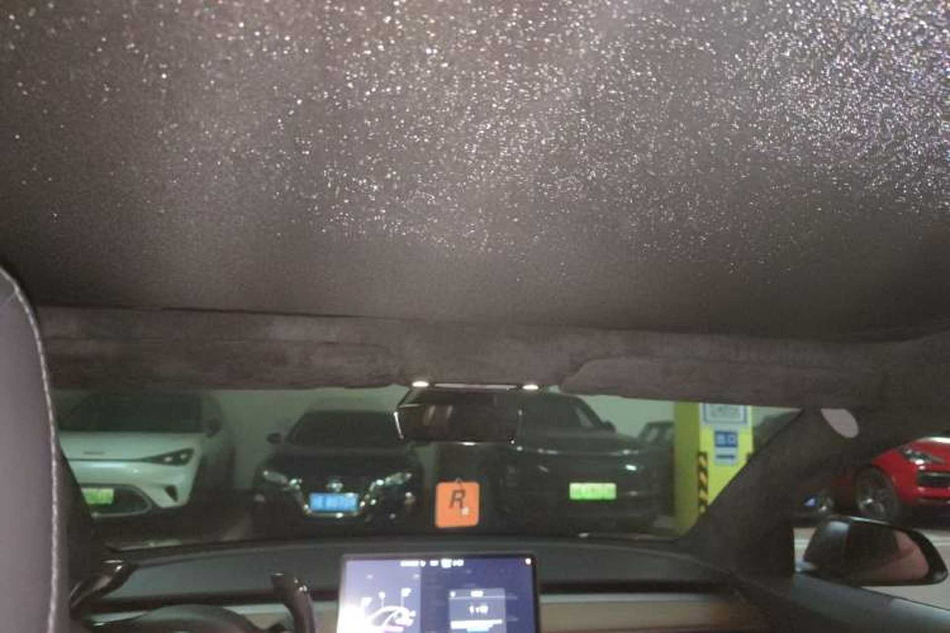 Used Tesla Model 3 2019 Long-Range All-Wheel-Drive Version Headliner