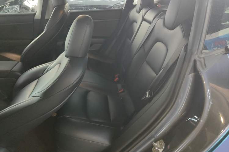 Used Tesla Model 3 2019 Standard Range Rear-Drive Upgraded Version Left Rear Seat