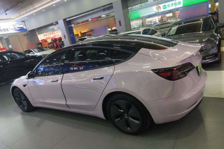 Used Tesla Model 3 2019 Standard Range Rear-Wheel Drive Upgraded Version (60 kWh) Left Side