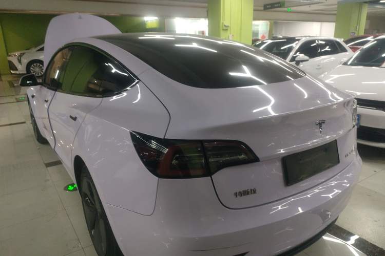 Used Tesla Model 3 2019 Standard Range Rear-Wheel Drive Upgraded Version (60 kWh) Rear Left 45 Deg