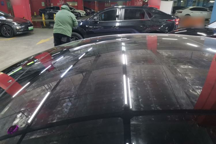 Used Tesla Model 3 2019 Standard Range Rear-Wheel Drive Upgraded Version (60 kWh) Roof