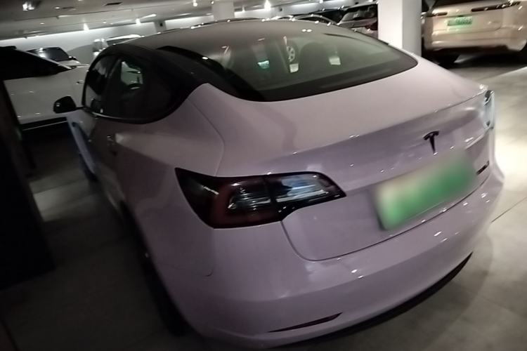 Used Tesla Model 3 2019 Long-Range Rear-Wheel-Drive Version Rear Left 45 Deg