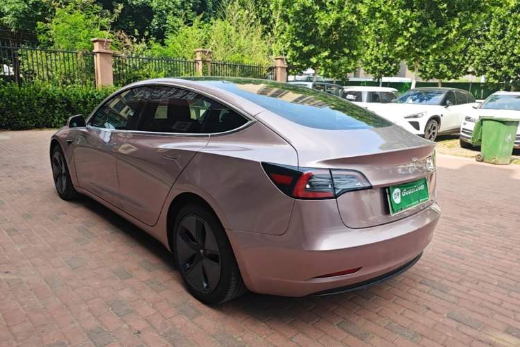 Used Tesla Model 3 2019 Long-Range All-Wheel-Drive Version Rear Left 45 Deg
