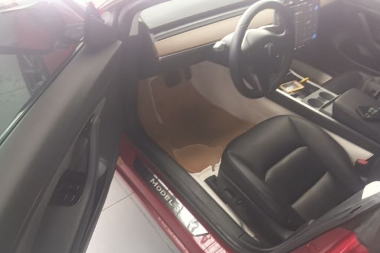 Used Tesla Model 3 2019 Standard Range Rear-Drive Upgraded Version Driver Seat