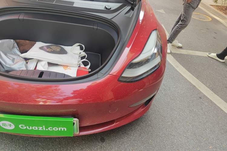 Used Tesla Model 3 2019 Standard Range Rear-Wheel Drive Upgraded Version (60 kWh) Engine Bay Left