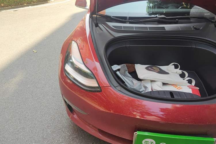 Used Tesla Model 3 2019 Standard Range Rear-Wheel Drive Upgraded Version (60 kWh) Engine Bay Right