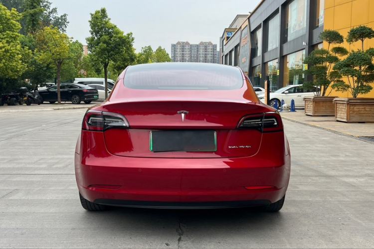 Used Tesla Model 3 2019 Long-Range All-Wheel-Drive Version Exterior 2