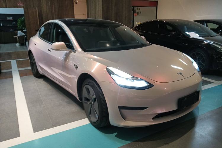 Used Tesla Model 3 2019 Long-Range Rear-Wheel-Drive Version Exterior 2