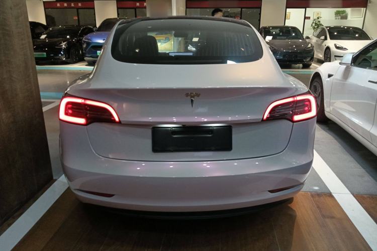 Used Tesla Model 3 2019 Long-Range Rear-Wheel-Drive Version Exterior 5