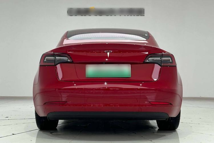 Used Tesla Model 3 2019 Long-Range Rear-Wheel-Drive Version Exterior 7