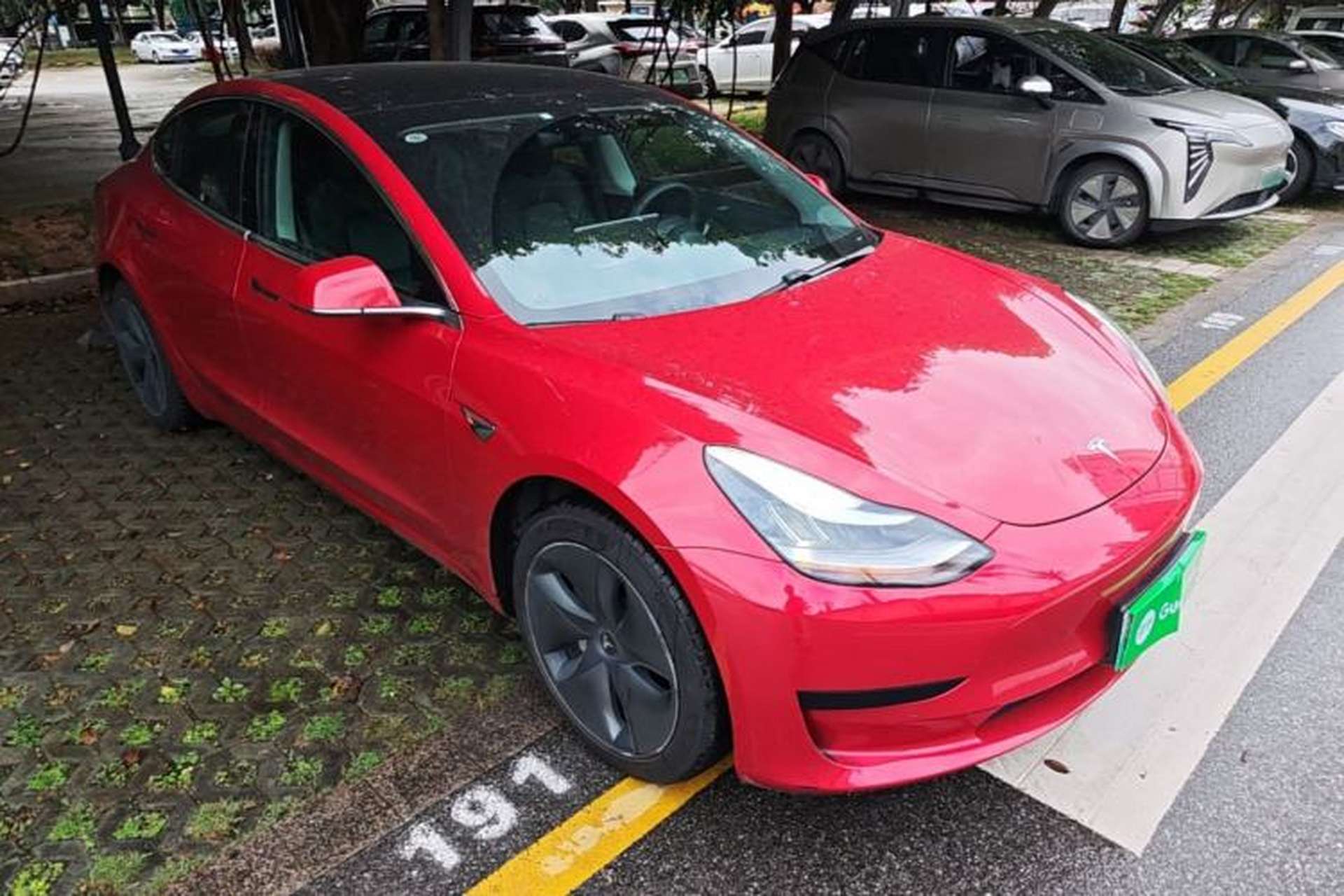 Used Tesla Model 3 2019 Standard Range Rear-Drive Upgraded Version Front Right 45 Deg