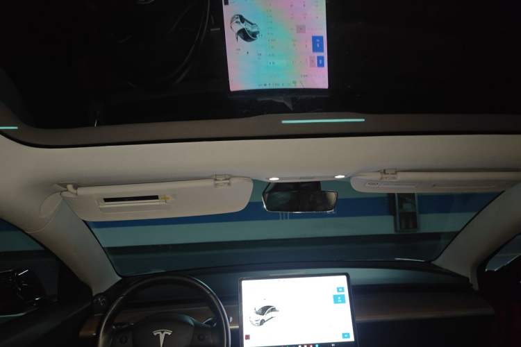 Used Tesla Model 3 2019 Long-Range All-Wheel-Drive Version Headliner