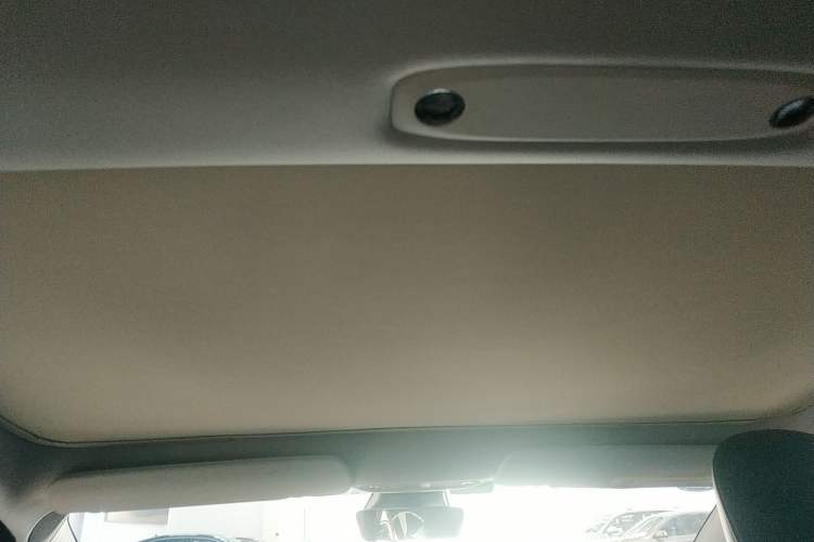Used Tesla Model 3 2019 Long-Range Rear-Wheel-Drive Version Headliner
