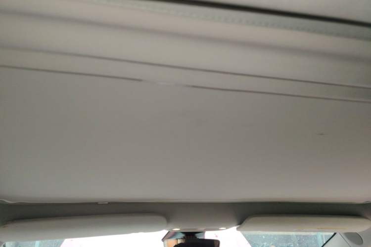 Used Tesla Model 3 2019 Long-Range All-Wheel-Drive Version Headliner