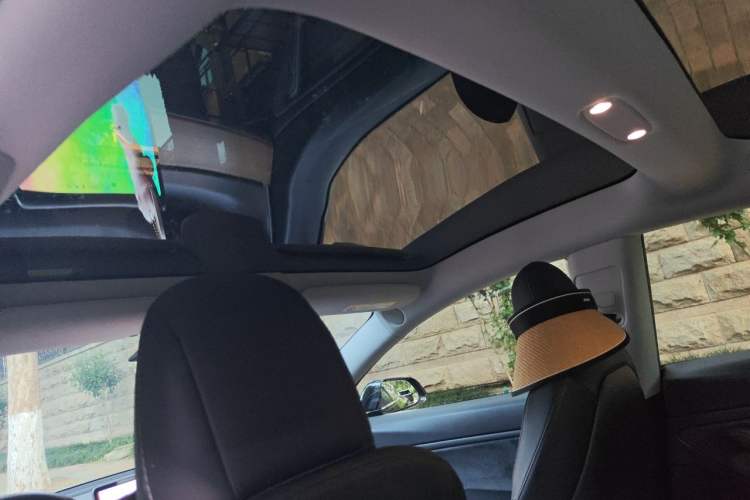 Used Tesla Model 3 2019 Long-Range All-Wheel-Drive Version Headliner