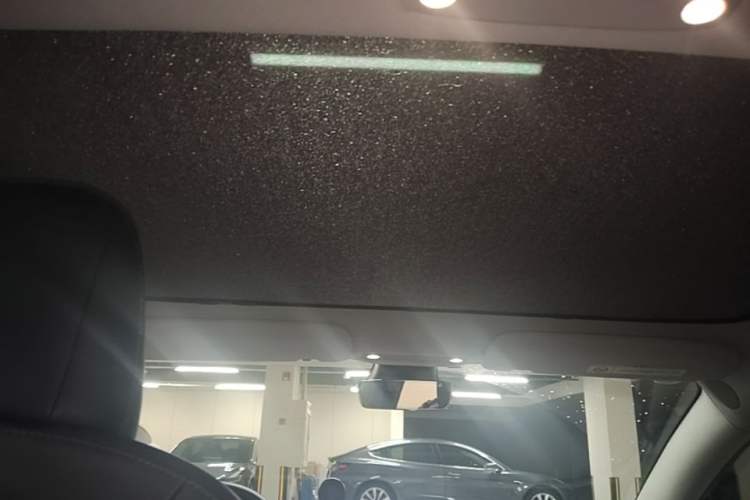 Used Tesla Model 3 2019 Long-Range All-Wheel-Drive Version Headliner