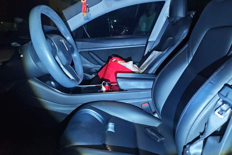 Used Tesla Model 3 2019 Standard Range Rear-Drive Upgraded Version Left Front Seat