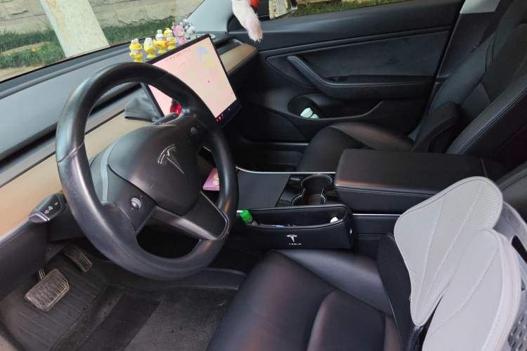 Used Tesla Model 3 2019 Long-Range All-Wheel-Drive Version Left Front Seat
