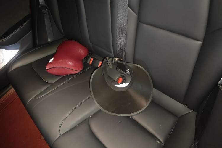 Used Tesla Model 3 2019 Long-Range All-Wheel-Drive Version Left Rear Seat