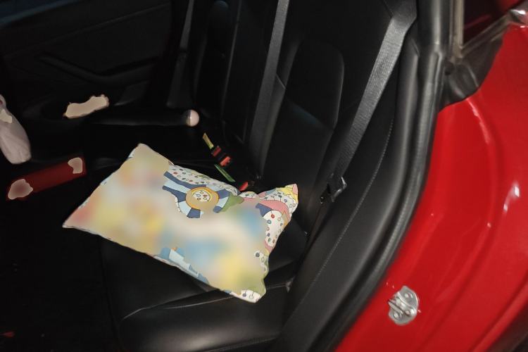 Used Tesla Model 3 2019 Standard Range Rear-Drive Upgraded Version Left Rear Seat