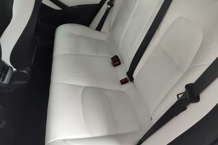 Used Tesla Model 3 2019 Standard Range Rear-Drive Upgraded Version Left Rear Seat