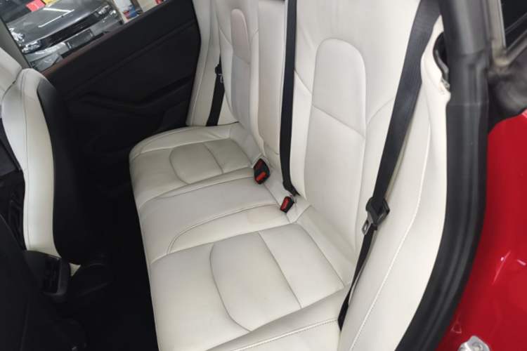 Used Tesla Model 3 2019 Standard Range Rear-Drive Upgraded Version Left Rear Seat