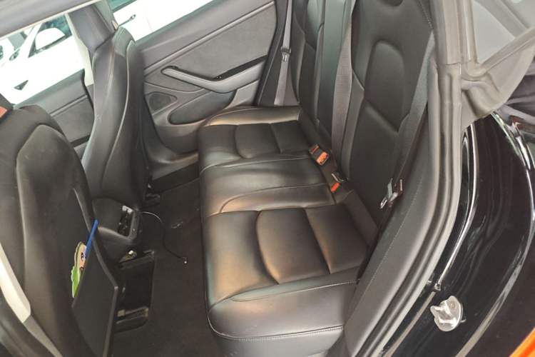 Used Tesla Model 3 2019 Long-Range Rear-Wheel-Drive Version Left Rear Seat